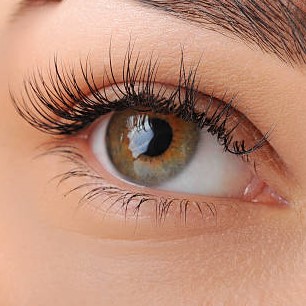 Eyelash Extensions in Palm Springs |Lash Extensions in Palm Springs |  Eyebrow Waxing in Palm Springs | Brow Lamination Palm Springs | Brow Lift Palm Springs